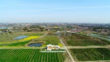賦能產(chǎn)業(yè)振興，東方田園農(nóng)業(yè)發(fā)展有限公司全面推進運營業(yè)務
